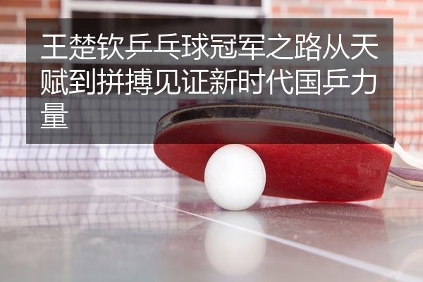 王楚钦乒乓球冠军之路从天赋到拼搏见证新时代国乒力量