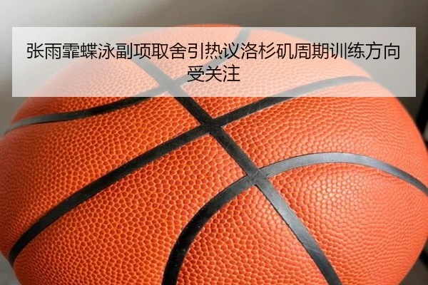 张雨霏蝶泳副项取舍引热议洛杉矶周期训练方向受关注（xingkong tiyu）